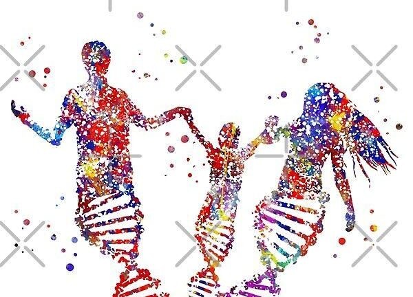 Aile Dizimi Terapisi Eğitimi